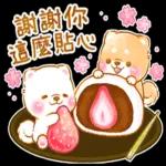 和菓子❤療癒柴犬❤