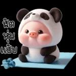 หมูแพนด้าน่ารักจังเลย