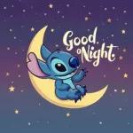 Stitch's lovely night