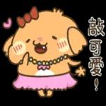 貴賓狗妞妞-好禮貌好親切