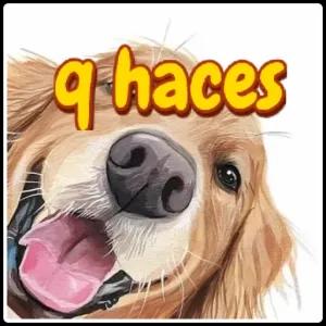 q haces - getsticker.com