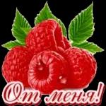 добрый день