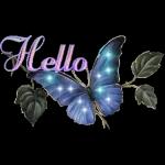Hello