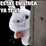 ESTAS EN LÍNEA.. YA TE VI