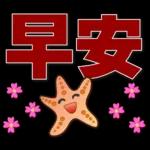 可愛海星 2