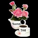 Zzz... Hasta mañana