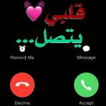 شوشو ٦٦