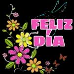 Buenos Días!