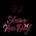 have a nice day
