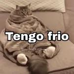 que frío 