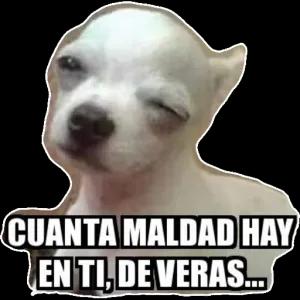 CUANTA MALDAD HAY EN TI, DE VERAS... - getsticker.com