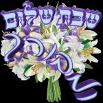 רחמיאל מגרו 