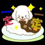 白貴賓犬表情包