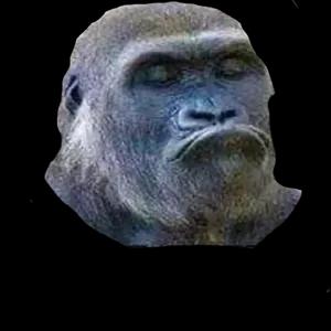 9d0ghr