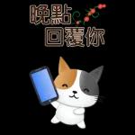 實用大貼圖 職場日常 可愛花貓