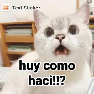 huy como haci!!? - getsticker.com