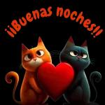 ¡buenas noches!!
