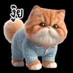 แมวขี้โมโหในชุดนอนสีอ่อน