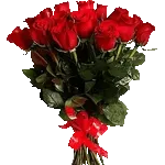 Tienes un regalo para recibir 🎁