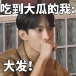 seventeen表情管理2 :: @fStikBot