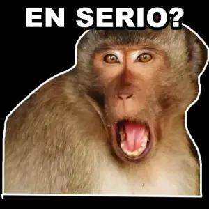EN SERIO? - getsticker.com