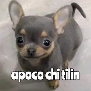 SBduLX