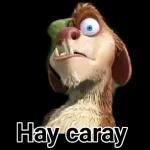 Hay caray 