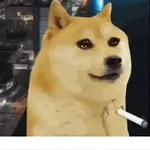 ccccc