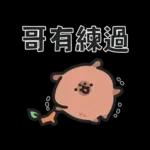 小水豚們的熱血應援