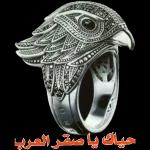 ابو صقر علوه