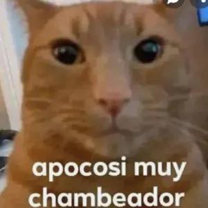 3XY7AS