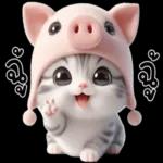 สวัสดี ค่ะ