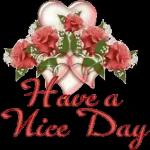 والشرور والشرور