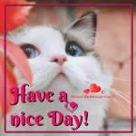 Don't forget to smile my friend😘