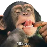 Cute