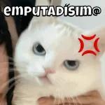  cuanta@Giseelove_StickersMaldad