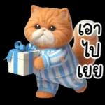 แมวขี้โมโหในชุดนอนสีอ่อน