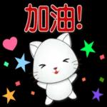 可愛白貓實用問候語貼圖