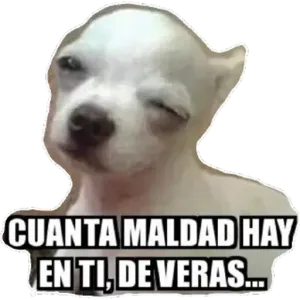 1gn02z