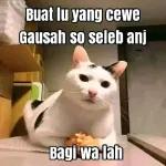 meme