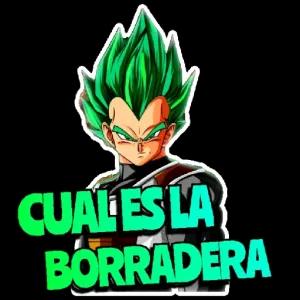 CUAL ES LA BORRADERA - getsticker.com