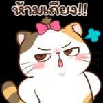 เตือนแล้วน่ะ..‼️🤣