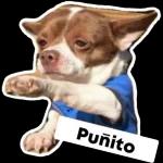 Puñito