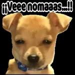 A ver una teta