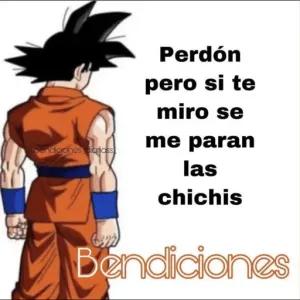 ycwdjf