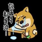 豆卡頻道-好運強強滾