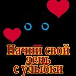 дло
