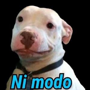 afBmEo