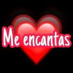 I love you