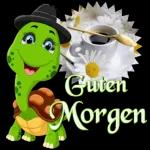 Süße kleine Schildkröte